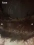 Нова Дамска Зимна Шапка от Естествен Косъм Норка, снимка 2