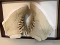Дамски кецове Puma 38 номер, снимка 2