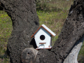Къщички за птици , върху които може да се рисува ., снимка 8