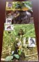 Екваториална Гвинея 1991 - 4 броя Карти Максимум - WWF, снимка 1 - Филателия - 38897036