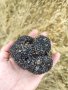 Черен пресен трюфел, снимка 8