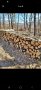 предлагам дърва за огрев метровки дъб и бук тел 0895977422 , снимка 3