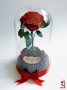 Вечна Роза в ГОЛЯМА стъкленица / Уникален Подарък за Жена / Естествена Вечна роза Подарък за Момиче, снимка 7