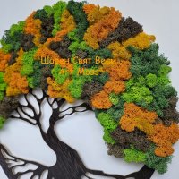Дърво на живота "Есен" с декорация Скандинавски мъх , снимка 2 - Декорация за дома - 39535032