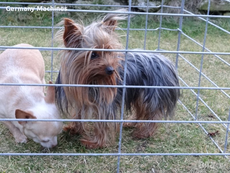 КЛЕТКА 62-52-см, метална, СГЪВАЕМА. Подходяща е за дребни по големина породи кучета , снимка 1