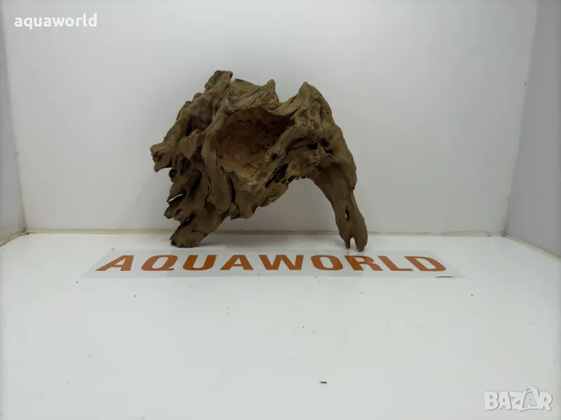 Африкански корен 20, снимка 1