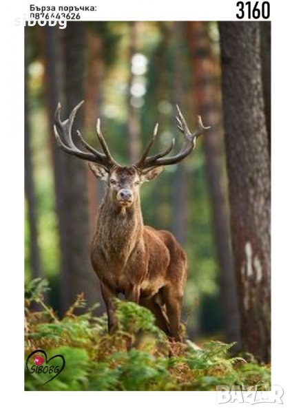 Диамантен гоблен Красив елен, снимка 1