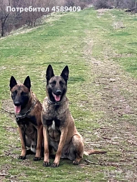 проодавам, снимка 1