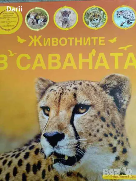 Животните в саваната, снимка 1