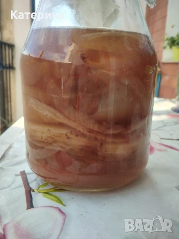 Тибетска гъба Комбуча SCOBY, снимка 2 - Домашни напитки - 50937323