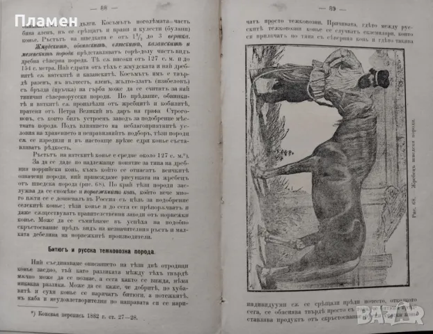 Коневъдство Павелъ Кулешовъ /1892/, снимка 10 - Антикварни и старинни предмети - 47534397