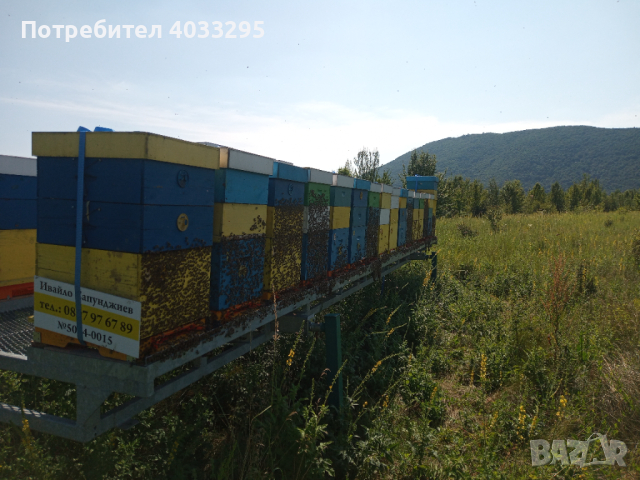 Пчеларски платформи 2 броя с 64 кошера,всяка платформа е с капацитет 32 кошера.цена без кошери 16000, снимка 7 - Други животни - 44806686