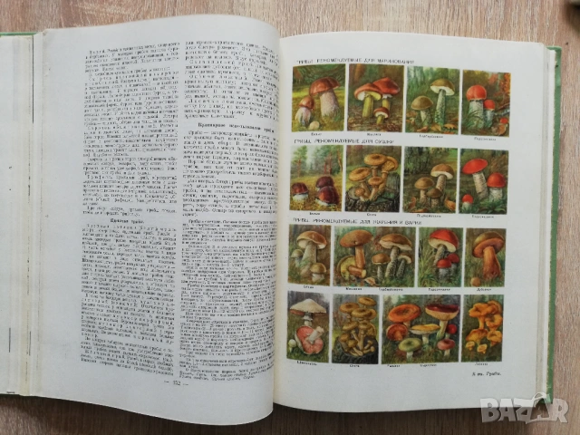 Краткая енциклопедия домашнего хозяйства, том 1, 1959, снимка 3 - Енциклопедии, справочници - 53266007