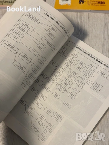 Свищовски родови хроники | д-р Мария Ценова-Тошева, снимка 10 - Други - 53568536