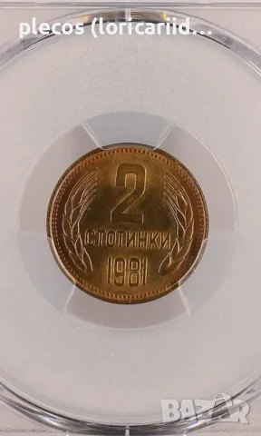 2 стотинки 1981 MS 65, снимка 2 - Нумизматика и бонистика - 55805453