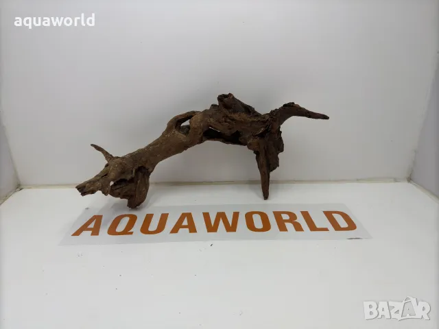 Мангров корен 36