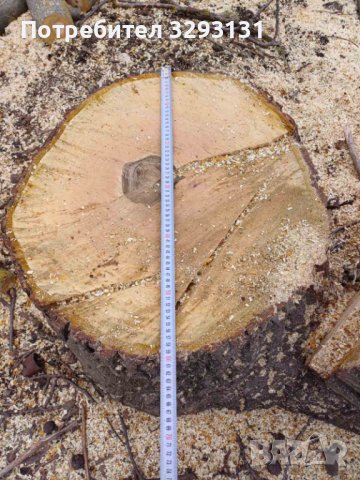 Дървен материал орех / Ствол от орех / Дънер орех / Орехова дървесина, снимка 2 - Дърва за огрев - 44349414