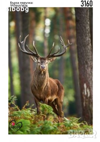 Диамантен гоблен Красив елен