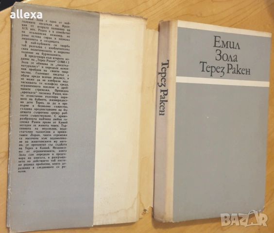 " Терез Ракен ", снимка 2 - Художествена литература - 17037102