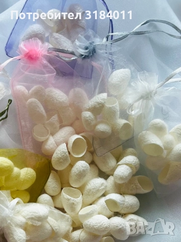 Копринени пашкули - естествена грижа за кожата и вдъхновение от природата, снимка 3 - Други - 52456438