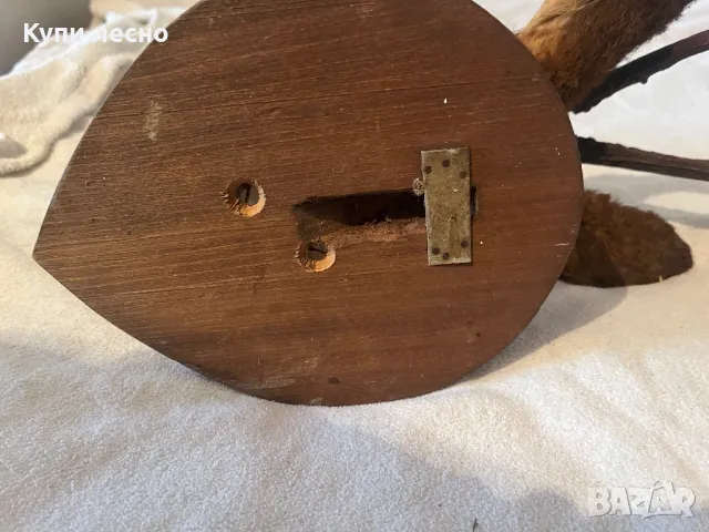 Трофей от сръндак, снимка 6 - Антикварни и старинни предмети - 48640900