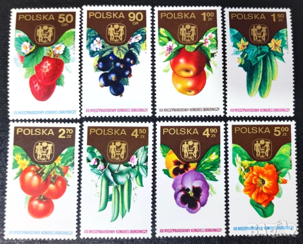 Полша, 1974 г. - лот марки на тема изкуство, архитектура, кораби, шах, футбол, личности, растения, снимка 8 - Филателия - 53225304