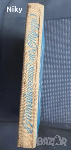 Потайностите на Тулуза-Пиер Гамара , снимка 2 - Художествена литература - 47643751