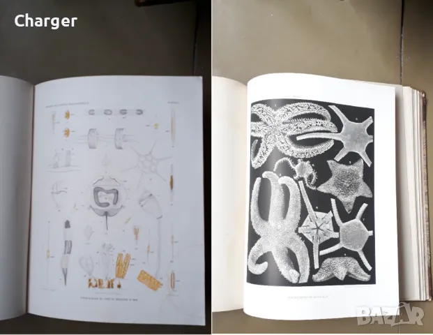 Стара книга - Океанография, снимка 4 - Колекции - 48922554