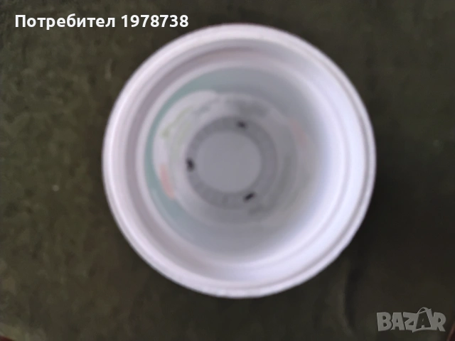 Продавам кофички за разсад, снимка 2 - Разсади - 53763256