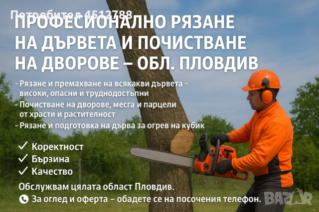 Рязане на дървета, почистване на дворове и рязане на дърва - обл. Пловдив