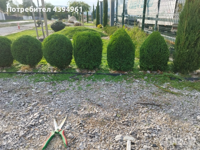 Косене трева, озеленяване, поливни системи, абонаментна поддръжка , снимка 11 - Други услуги - 53760821