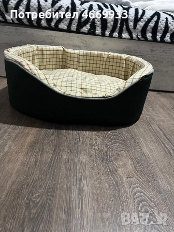 Чихуахуа , снимка 5 - Чихуахуа - 52668725