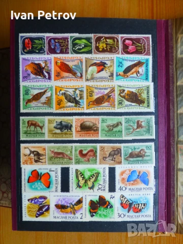 Продавам серии пощенски марки „Животни и растения“, снимка 10 - Филателия - 50960831