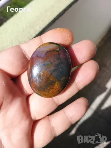 Натурален палмов камък, снимка 3 - Антикварни и старинни предмети - 50092366