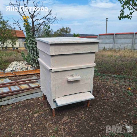 Пчелни кошери, снимка 5 - За пчели - 42386210
