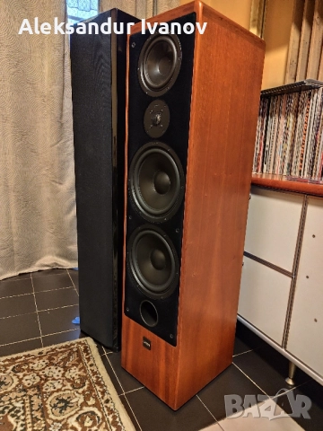 Canton Ergo SC-L (cherry), снимка 11 - Тонколони - 52642387