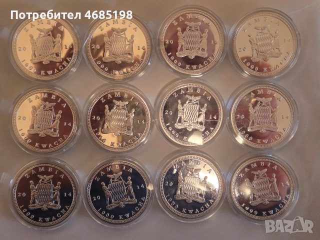 Пълна колекция от 12 красиви посребрени,цветни монети с животни., снимка 13 - Колекции - 52921800