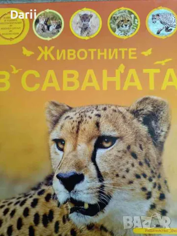 Животните в саваната, снимка 1 - Детски книжки - 47418906