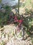колело пасатти Фокс  20", снимка 1