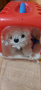 Плюшено кученце при ветеринар, снимка 1 - Плюшени играчки - 36230007