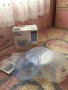 Стерилизатор на Philips Avent, снимка 2