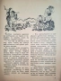 Предвоенни броеве на „Детска радост“ (1937–1939) – колекционерски комплект, снимка 8