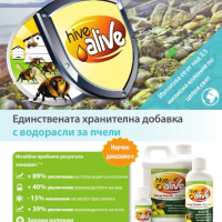 HiveAlive 2 литра, снимка 4 - За пчели - 26367847