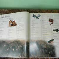 Животни. Animal: The Definitive Visual Guide, снимка 4 - Енциклопедии, справочници - 42162592