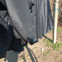 рокля от тафта в черно с/М 39лв, снимка 1 - Рокли - 44599215