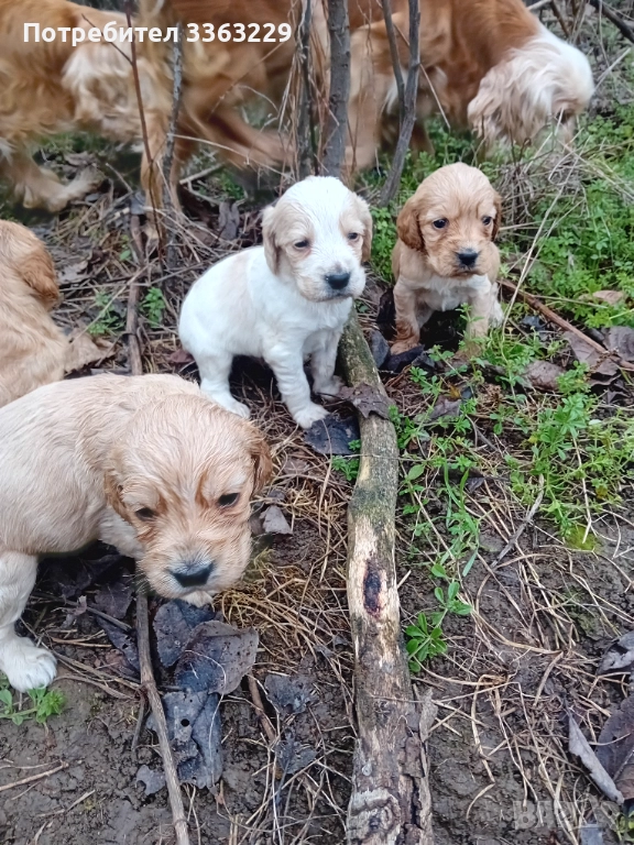 Продавам , снимка 1