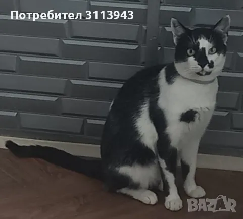 ТЪРСИ СЕ, снимка 1