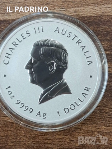 Сребро Инвестиционна монета Лунар III змия 2025 цветен  1 унция OZ, снимка 2 - Нумизматика и бонистика - 53120695