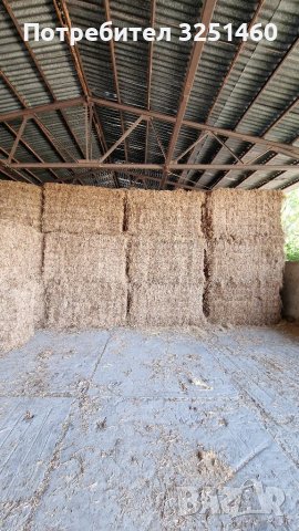 Бали Грах, снимка 5 - Крави - 41513993