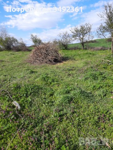 Продавам каменна къща 92кв.м с двор 1810кв.м с.Манастир, област Варна, снимка 2 - Парцели - 39153271